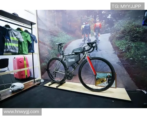 南京极限运动队与杭州极限运动队赛后实力对比分析与总结